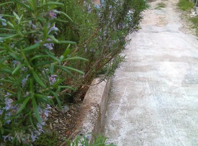 By The Sea Cove Osobjava, Peljesac - 21927 * Osobjava